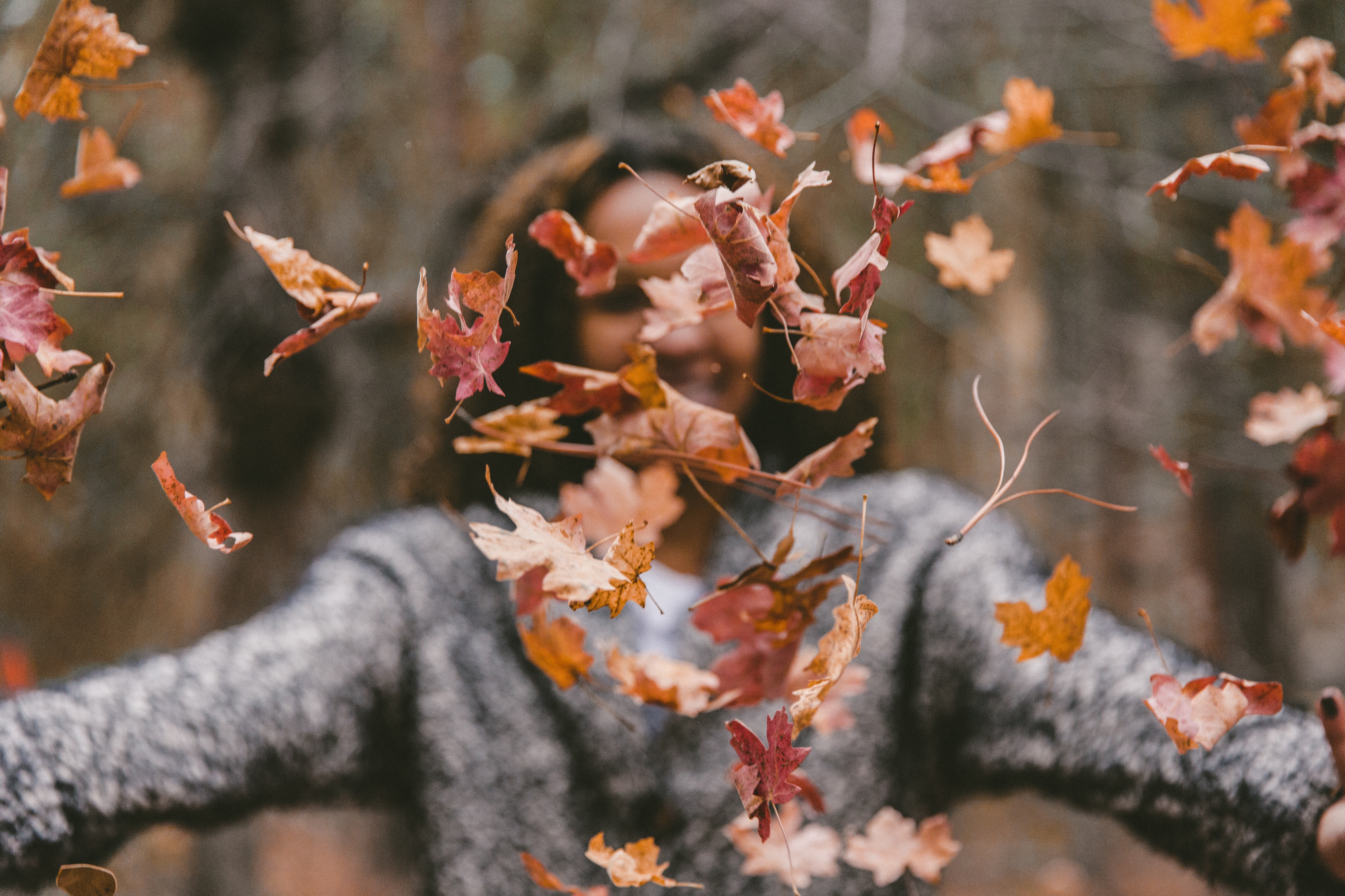 October Autumn Movies