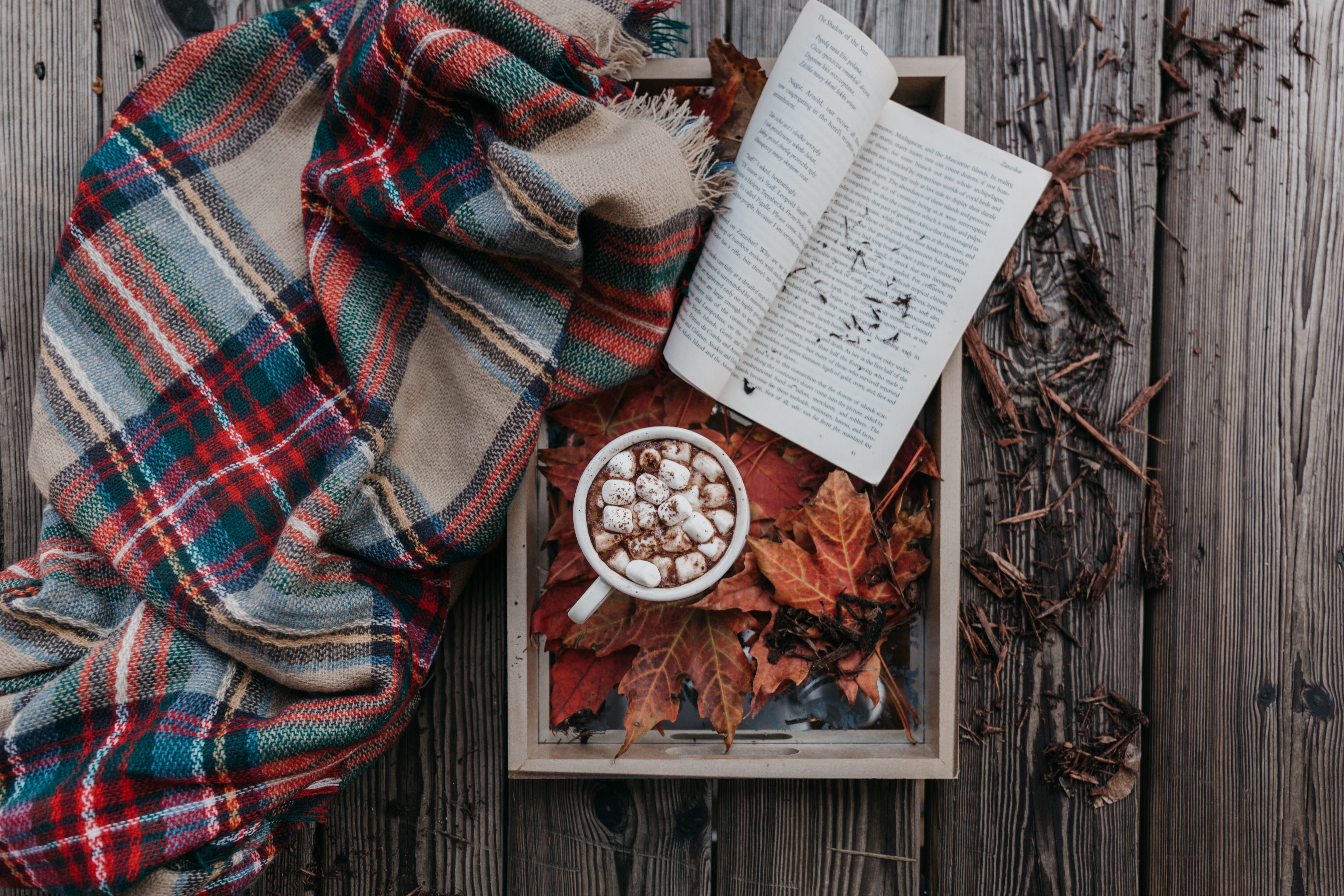 Cosy Movie Night Essentials